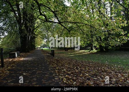 Canal Walk, Kilkenny, Irland Stockfoto