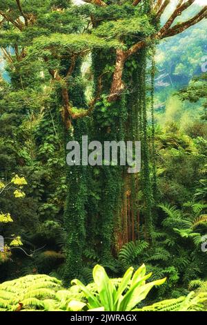 Der Baum - Token eines Typs. Baum - Universalpflanze in allen Arten und Formen. Stockfoto