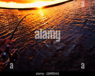 Angeln bei Sonnenuntergang. Raubfische beim Spinnen fangen. Sonnenuntergangsfarben auf der Wasseroberfläche, sonniger Weg von der niedrigen Sonne. Nerfling fing auf einem Spinner. Stockfoto