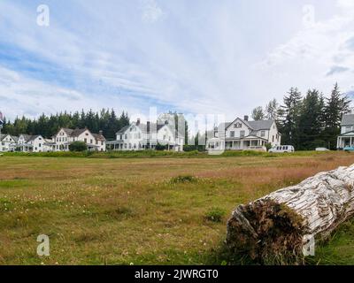 Eine Reihe von Häusern im amerikanischen Stil auf der Straße, jenseits von offenem Raum und Feld mit altem Baumstamm im Vordergrund. Stockfoto