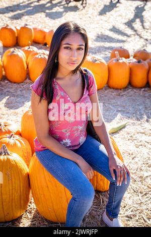 Herbstfest Porträt einer jungen asiatischen Frau, die auf einem großen Kürbis auf einer Farm sitzt Stockfoto