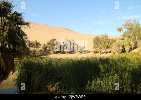 Huacachina - eine Oase mitten in der peruanischen Wüste, Blick auf Palmen und eine Lagune mit Booten und Sanddünen im Hintergrund. Stockfoto