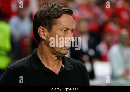 Lissabon, Portugal. 06. September 2022. Roger Schmidt Manager von SL Benfica während des UEFA Champions League-Spiel der Gruppe H zwischen SL Benfica und Maccabi Haifa am 06. September in Lissabon, Portugal, 2023 (Foto: Valter Gouveia/Sports Press Photo/C - EINE STUNDE DEADLINE - NUR FTP AKTIVIEREN, WENN BILDER WENIGER ALS EINE STUNDE ALT sind - Alamy) Credit: SPP Sport Press Photo. /Alamy Live News Stockfoto