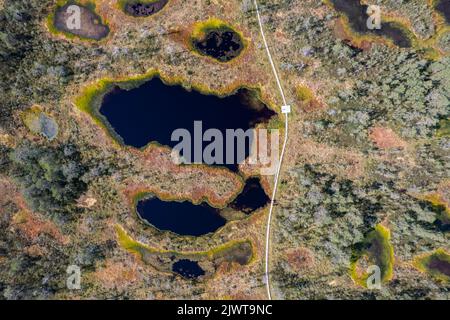 Viru-Moor in Estland, in der Nähe von Tallinn Stockfoto