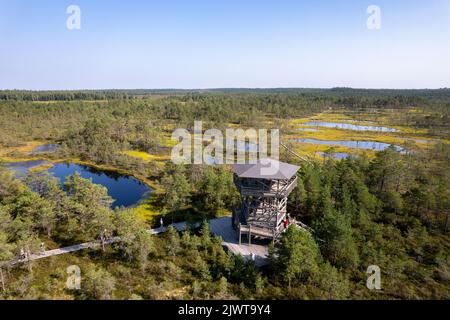 Viru-Moor in Estland, in der Nähe von Tallinn Stockfoto