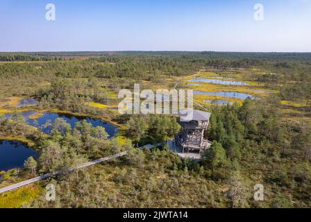 Viru-Moor in Estland, in der Nähe von Tallinn Stockfoto