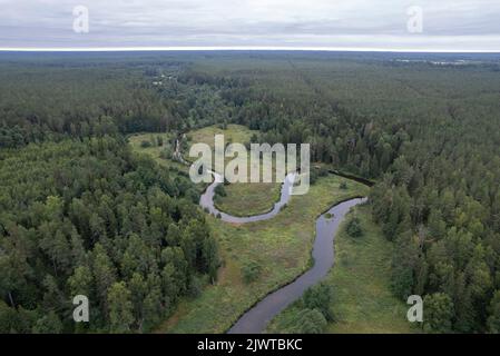 Mäanderender Fluss im Norden Estlands Stockfoto