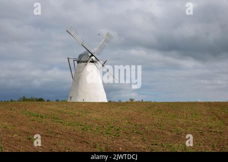 Eine Windmühle auf einem Feld in Estland Stockfoto