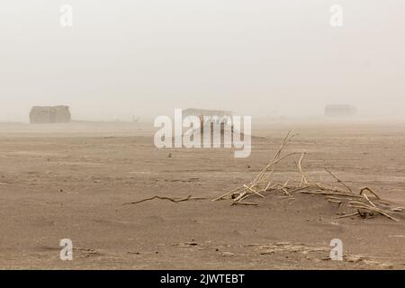 Afar Dorf in Danakil Depression während eines Sandsturms, Äthiopien. Stockfoto