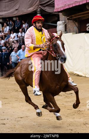 Siena, Italien - 15 2022. August: Palio di Siena Jockey, der Reiter oder Fantino Giosue Carboni detto Carburo des Contrada Valdimontone auf der Prova Stockfoto