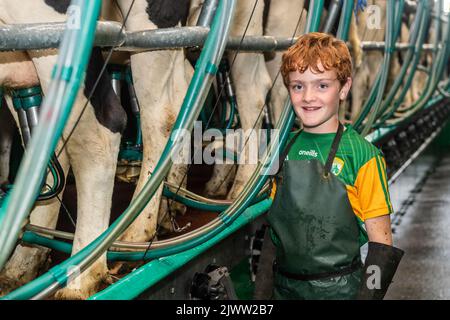 Landwirtschaft: Timoleague, West Cork, Irland. September 6., 2022. Die 160 Mann starke Herde des Milchbauern DJ Keohane werden auf seiner Farm in Timoleague, West Cork, gemolken. DJ's Sohn, Daniel im Alter von 11 Jahren und Tochter Clíodhna, 15, helfen beim Melken. Der Melkstand fasst 20 Kühe auf jeder Seite und das Melken ist innerhalb einer Stunde abgeschlossen. DJ liefert derzeit ca. 20 Liter pro Kuh. Quelle: AG News/Alamy Live News Stockfoto