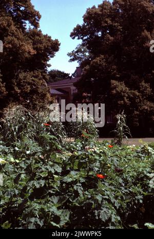 Surry VA USA 9/1993. Bacon’s Castle. Bacon's Castle, oder 'Allen's Brick House' oder das 'Arthur Allen House' befindet sich in Surry County, Virginia, USA. Es ist die älteste dokumentierte Ziegelwohnung in den heutigen Vereinigten Staaten. Es wurde 1665 erbaut und gilt als ein äußerst seltenes Beispiel jakobischer Architektur in der Neuen Welt. Das Haus wurde als "Bacons Burg" bekannt, weil es als Festung oder "Burg" von den Anhängern von Nathaniel Bacon während der Rebellion von Bacon im Jahr 1676 besetzt wurde. Im Gegensatz zur populären Folklore lebte Bacon jedoch nie in Bacons Schloss. Stockfoto