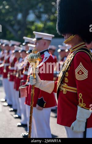 Die US Marine Band des Präsidenten tritt während der Feier am 4.. Juli, Montag, den 4. Juli 2022, auf dem South Lawn des Weißen Hauses auf. (Offizielles Foto des Weißen Hauses von Adam Schultz). Stockfoto