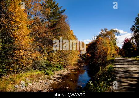 Country Road entlang des Autumn Stream in Vermont, USA Stockfoto