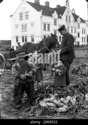 Wege im Alten Stadthaus ('Armenpflege'), 'Lill-Johan' im Vordergrund. Der Mann rechts ist Ernst Wilgot Rooth und das kleinste Mädchen Anna-Lisa Rooth. Rovapptagning på gamla kommunhemet ('fattigvården'), 'Lill-Johan' i förgrunden. Mannen till höger är Ernst Wilgot Rooth och den minsta flickan Anna-Lisa Rooth. Stockfoto