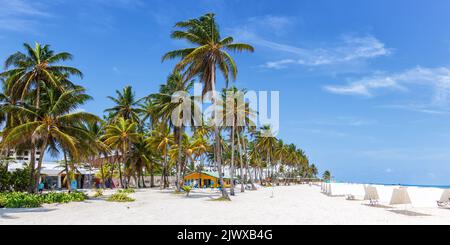 Playa Spratt Bucht Strandreise mit Palmen Urlaub Panorama Meer auf der Insel San Andres in Kolumbien Stockfoto