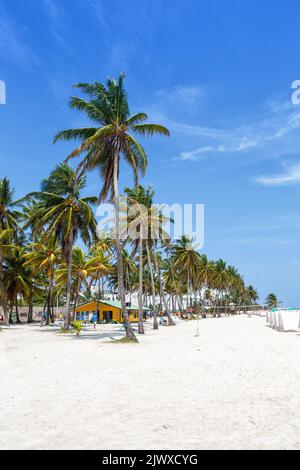 Playa Spratt Bight Strandreise mit Palmen Hochformat Urlaub Meer auf der Insel San Andres in Kolumbien Stockfoto