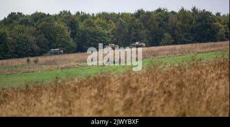 Drei Foxhound-Lichtschutzpatrouillenfahrzeuge der britischen Armee (LPPV Force Protection Ocelot), die bei einer militärischen Übung hinter Waldflächen Schutz nehmen Stockfoto