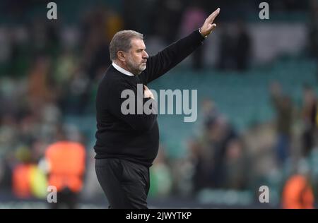 Glasgow, Großbritannien. 6. September 2022. Celtic Manager Ange Postecoglou begrüßt die keltischen Fans nach dem Spiel der UEFA Champions League Group F im Celtic Park, Glasgow. Bildnachweis sollte lauten: Neil Hanna/Sportimage Kredit: Sportimage/Alamy Live News Stockfoto