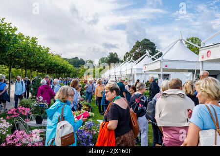 Besucher des jährlichen Wisley Taste of Autumn Festivals im September im RHS Wisley, Surrey, Südostengland Stockfoto