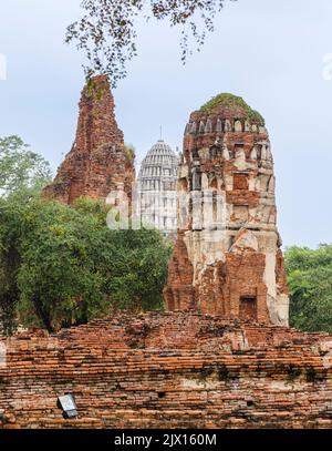 Verfallene, bröckelnde, überwucherte rote Ziegelstangen in den Ruinen von Wat Maha That, dem heiligen königlichen Tempel in Ayutthaya, Thailand Stockfoto