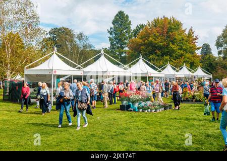 Stände beim jährlichen Wisley Taste of Autumn Festival im September im RHS Wisley, Surrey, Südostengland Stockfoto