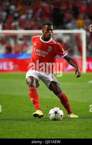 Lissabon, Portugal. 06. September 2022. Florentino Luis aus Benfica beim UEFA Champions League-Fußballspiel der Gruppe H zwischen SL Benfica und Maccabi Haifa FC im Estadio da Luz in Aktion. Endergebnis: SL Benfica 2:0 Maccabi Haifa. Kredit: SOPA Images Limited/Alamy Live Nachrichten Stockfoto