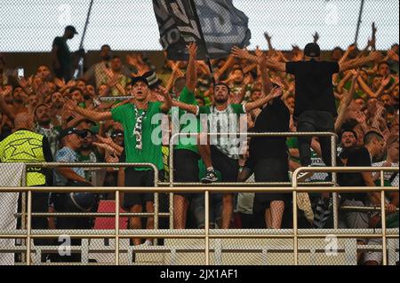 Lissabon, Portugal. 06. September 2022. Maccabi Haifa-Fans im Einsatz beim UEFA Champions League-Fußballspiel der Gruppe H zwischen SL Benfica und Maccabi Haifa FC im Estadio da Luz. Endergebnis: SL Benfica 2:0 Maccabi Haifa. Kredit: SOPA Images Limited/Alamy Live Nachrichten Stockfoto