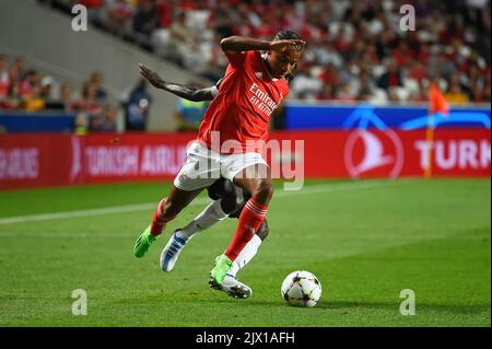 Lissabon, Portugal. 06. September 2022. David Neres aus Benfica beim UEFA Champions League-Fußballspiel der Gruppe H zwischen SL Benfica und dem FC Maccabi Haifa im Estadio da Luz in Aktion. Endergebnis: SL Benfica 2:0 Maccabi Haifa. Kredit: SOPA Images Limited/Alamy Live Nachrichten Stockfoto