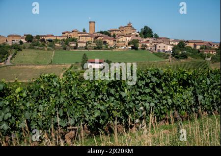 Landschaft mit Weinbergen und Häusern in der Nähe von beaujolais Weindorf Val d'Oingt, Tor zur Beaujolais Weinstraße und hügelige Landschaften des Pier Stockfoto