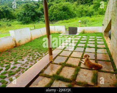 Bungalow oder Farmhaus Außenansicht in Indien. Stockfoto