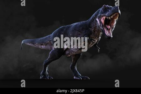 3D Illustration des gefährlichen Tyrannosaurus Rex wirkt und stellt isoliert auf schwarzem Hintergrund mit Clipping Path Stockfoto