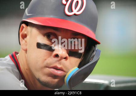 St. Louis, Usa. 06.. September 2022. Der Washington Nationals Joey Meneses schaut in die Tribüne, als er am Dienstag, den 6. September 2022, im Busch Stadium in St. Louis gegen die St. Louis Cardinals tagt. Foto von Bill Greenblatt/UPI Credit: UPI/Alamy Live News Stockfoto