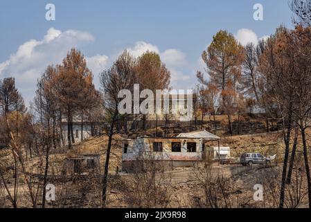 Häuser, Gärten und Fahrzeuge, die nach dem Brand der Pont de Vilomara 2022 verbrannt wurden (Barcelona, Katalonien, Spanien) ESP: Casas, jardines y vehículos quemados Stockfoto