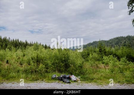 Illegale Entsorgung von Abfällen im Wald, Trashes in schwarzen Plastiktüten. Stockfoto