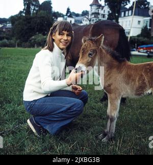 Konny und seine drei Freunde, Fernsehserie, Deutschland 1974 - 1974, Darsteller: Angelika Braut mit Fohlen Stockfoto