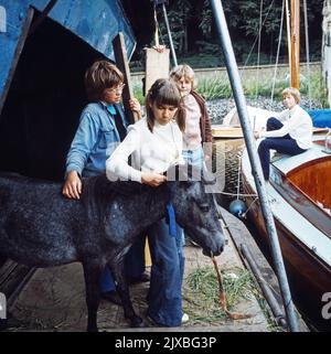 Konny und seine drei Freunde, Fernsehserie, Deutschland 1974 - 1974, Darsteller: Thies Lüders, Dieter Meyer, Peer Kock, Angelika Braut (beim Fohlen). Stockfoto