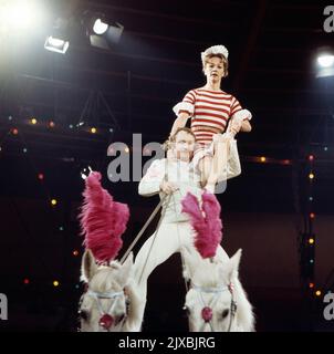 Stars in der Manege, Unterhaltungsshow aus dem Zirkus Krone Bau in München, Deutschland 1973, Mitwirkende: Liselotte Lilo Pulver beim Voltigieren. Stockfoto