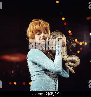 Stars in der Manege, Unterhaltungsshow aus dem Zirkus Krone Bau in München, Deutschland 1973, Mitwirkende: Schauspielerin Nadja Tiller mit Schlange Stockfoto