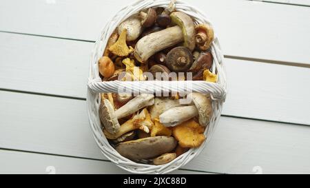 Draufsicht auf verschiedene Wildpilze, die in einem Holzkorb gesammelt wurden Stockfoto