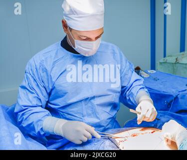 Der Arzt führt eine chirurgische Behandlung der Bauchhöhle des Patienten durch. Stockfoto