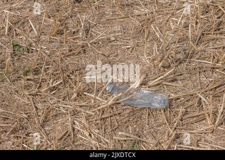 PTFE-Kunststoff-Softdrink-Flasche, die in einem kürzlich beschnittenen Feld mit Stroh weggeworfen wurde. Für Plastikverschmutzung, Umweltverschmutzung, Krieg gegen Plastikmüll. Stockfoto