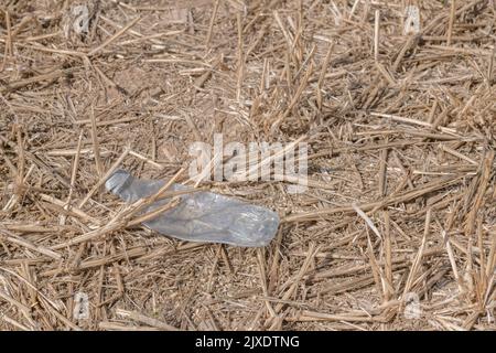 PTFE-Kunststoff-Softdrink-Flasche, die in einem kürzlich beschnittenen Feld mit Stroh weggeworfen wurde. Für Plastikverschmutzung, Umweltverschmutzung, Krieg gegen Plastikmüll. Stockfoto