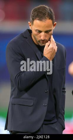 Leipzig, Deutschland. 06. September 2022. Fußball: Champions League, Gruppenphase, Gruppe F, Matchday 1 RB Leipzig - Shakhtyor Donetsk. Leipzig-Trainer Domenico Tedesco läuft nach dem Spiel durch das Stadion. Tedesco ist nicht mehr Trainer von RB Leipzig. Das teilte der Fußball-Bundesliga-Verein am Mittwoch (07.09.2022) mit. Ein Nachfolger wurde noch nicht ernannt. Quelle: Jan Woitas/dpa/Alamy Live News Stockfoto