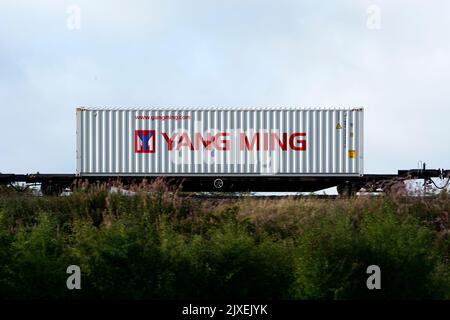 Yang Ming Transportcontainer auf einem freightliner Zug, Warwickshire, Großbritannien Stockfoto