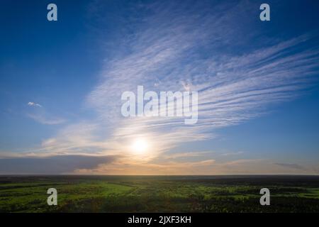 Sonnenaufgang über grünem Wald. Luftaufnahme. Direkte Sonne mit Lichtreflexen Stockfoto