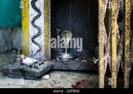 März 3. 2021 Uttarakhand Indien. Ein Kultplatz, der dem schlangengott mit einer Metallstatue os King Cobra Schlange gewidmet ist. Tempel der Schlangengott in ländlicher Region Stockfoto