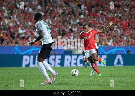 Lissabon, Portugal. 06. September 2022. 06. September 2022. Lissabon, Portugal. Benficas Stürmer aus Brasilien David Neres (7) in Aktion während des Spiels der Runde der Gruppe H 1. für die UEFA Champions League, Benfica gegen Maccabi Haifa Credit: Alexandre de Sousa/Alamy Live News Stockfoto