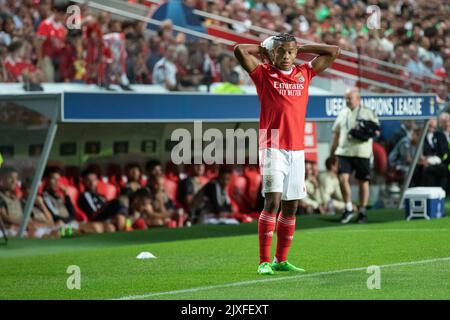 Lissabon, Portugal. 06. September 2022. 06. September 2022. Lissabon, Portugal. Benficas Stürmer aus Brasilien David Neres (7) in Aktion während des Spiels der Runde der Gruppe H 1. für die UEFA Champions League, Benfica gegen Maccabi Haifa Credit: Alexandre de Sousa/Alamy Live News Stockfoto