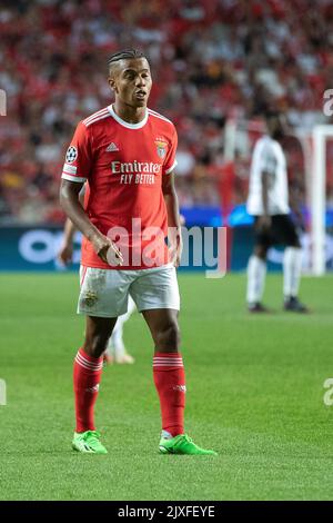 Lissabon, Portugal. 06. September 2022. 06. September 2022. Lissabon, Portugal. Benficas Stürmer aus Brasilien David Neres (7) in Aktion während des Spiels der Runde der Gruppe H 1. für die UEFA Champions League, Benfica gegen Maccabi Haifa Credit: Alexandre de Sousa/Alamy Live News Stockfoto